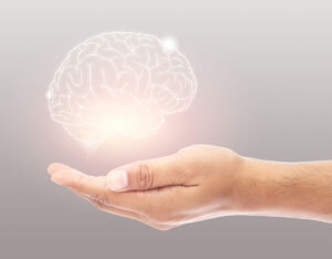Why Chronic Stress Shrinks Your Brain