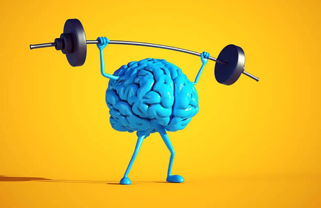Top Supplements Backed by Science for Brain Function
