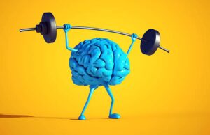 Top Supplements Backed by Science for Brain Function