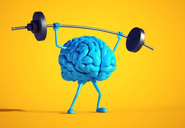 Top Supplements Backed by Science for Brain Function