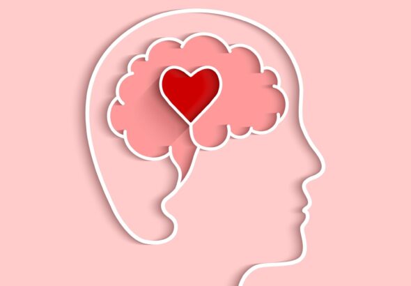 How Daily Movement Supports Cognitive Clarity