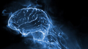 Digital Detoxing: What It Does to Your Brain in 48 Hours